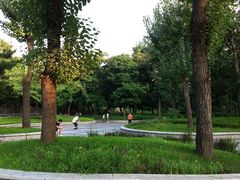 景点-沈阳中山公园