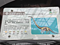 -自贡恐龙博物馆