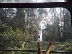 -缙云山景区