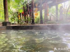 -西安国际创新人才交流中心•药浴温泉