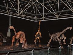 -世界恐龙谷景区