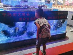 -鸽子侯·家宴·平价海鲜(绿地店)