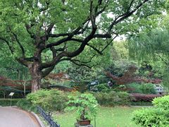 -申粤轩酒楼·三十年粤菜经典(丁香花园店)