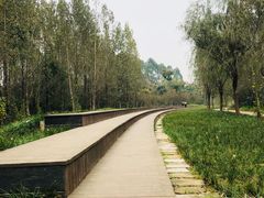 -白鹭湾湿地公园