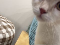 -佳雯宠物医院·皮肤科·内外科(春晓路分院)