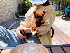-Willing·Coffee&Brunch&Dinner(万达店)