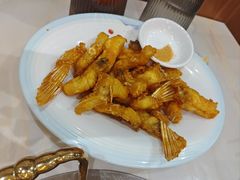 -港升鱼师傅·中山脆肉鲩