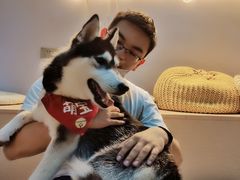 -Husky Go! 哈士奇体验馆·宠物咖啡厅狗咖