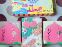 -关西国际机场直营免税店