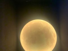 -深圳独角兽星空艺术馆