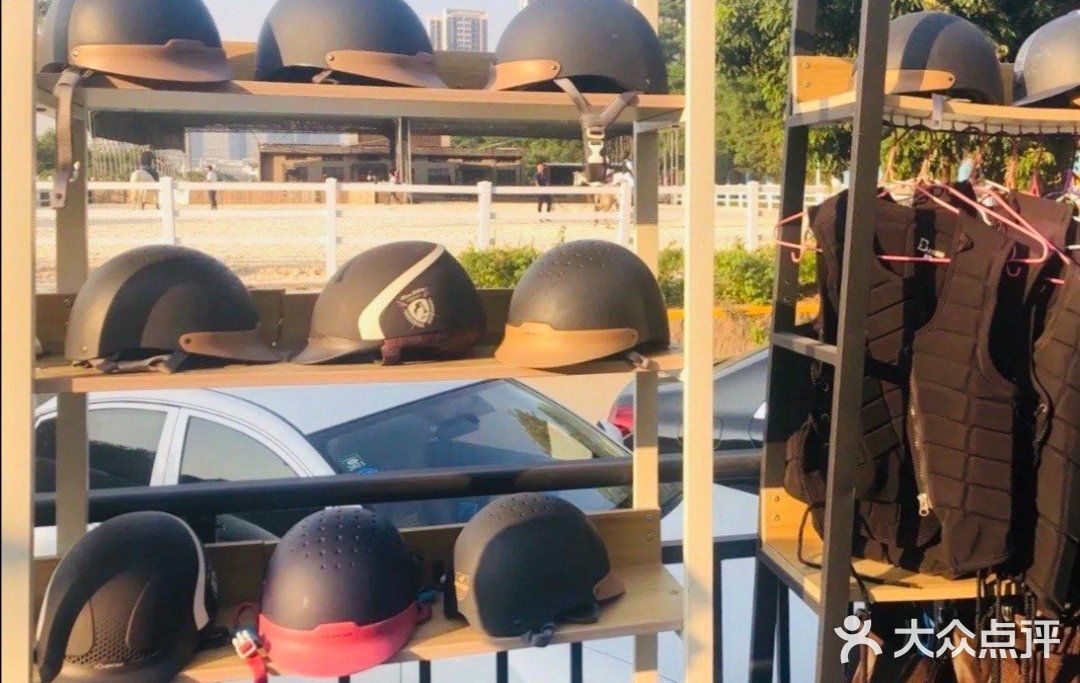 可是今天告诉大家，娃娃也可以培养马术的呢！