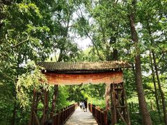 -滕州微山湖红荷湿地景区