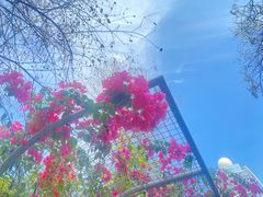 -深圳国际园林花卉博览园