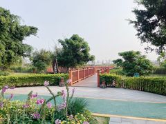 -芒洲湿地公园