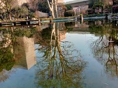 -静安公园(静安寺街道)