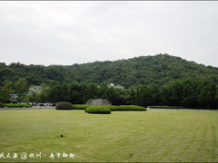 -临安城遗址(太庙遗址)