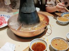 -东镇老火锅(长春路首店)