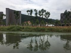 -长兴太湖图影湿地文化园
