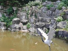 -宜兴张公洞