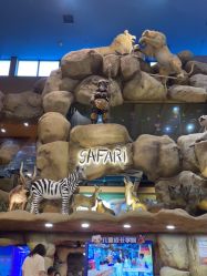 -卡通尼·Safari非洲探索乐园·生日会(金桥国际商业广场店)