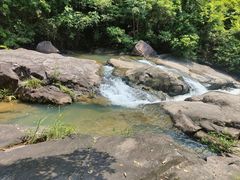 -广州白江湖森林公园