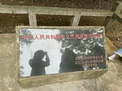 -上海佘山国家森林公园天马山园