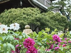 -龙华寺