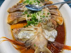 -巨鼎谭家菜(普照寺路店)