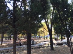 -吉林大学(前卫南区)