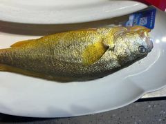 -小螺号海鲜·地道鲁菜(省体总店)