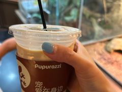 -帕帕拉兹宠物(亚洲旗舰店)