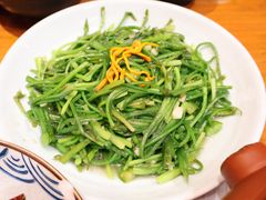 清炒水性杨花-老滇山寨•云南特色菜•地方菜•民族风情歌舞表演(金碧店)