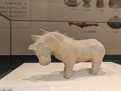 -隋唐大运河文化博物馆