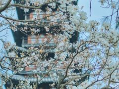 -上海方塔园