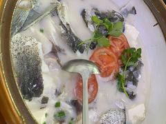 -全乐鱼馆·淳牌有机鱼直营店