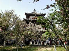 -西安青龙寺遗址景区