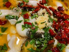 特色酸菜鱼-椿不老