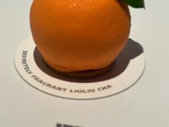 -TD66高山铁皮石斛养生茶饮