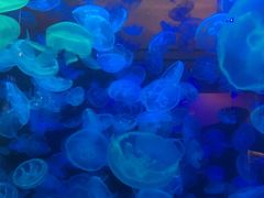 -华夏文旅西安度假区