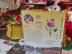 -南京市民俗博物馆(甘熙故居)