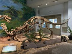 -自贡恐龙博物馆