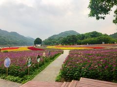-广州市石门国家森林公园