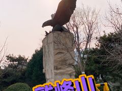 -北京鹫峰国家森林公园