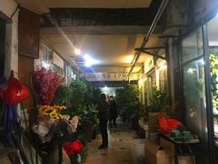 -武汉花鸟市场