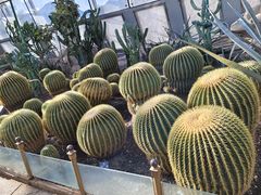 -北京植物园-展览温室