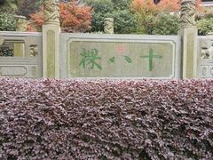 -十八棵（老龙井）御茶园(老龙井店)