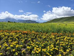 -扁都口生态休闲旅游区
