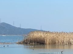 -苏州太湖湖滨国家湿地公园