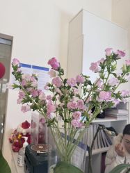 -兰瑜伽·普拉提·塑形