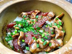 -红星光发煲仔饭(文海店)